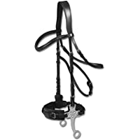 Equipride WALDHAUSEN X-LINE HACKMORE BITLESS BRIDLE NEGRO &amp- MARRÓN (mazorca- negro)